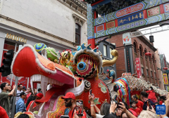 <b>通信丨陌头馆内共庆中国年</b>